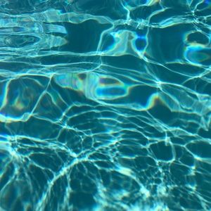 Meet your Posher, Maddy